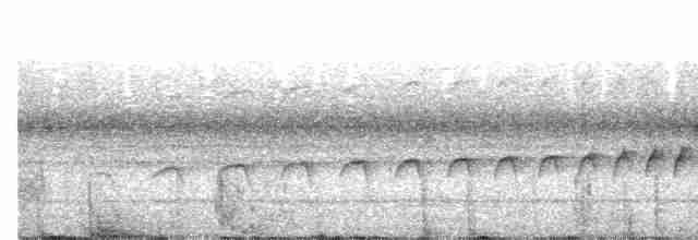 Südamazonien-Ameisenschnäpper - ML611550848