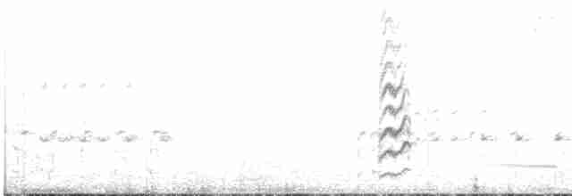 hvitsmykkehonningeter - ML611550952