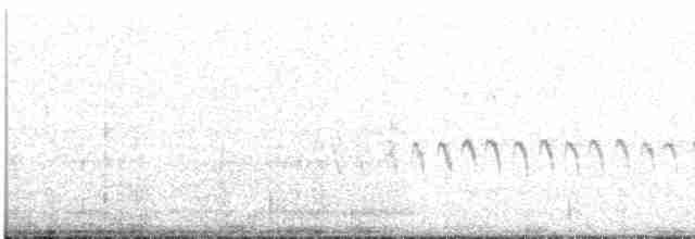 hvitsmykkehonningeter - ML611550954