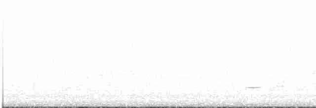 Psophode carillonneur - ML611551511