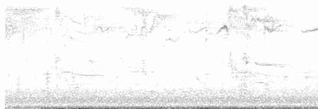 European Starling - ML611552822