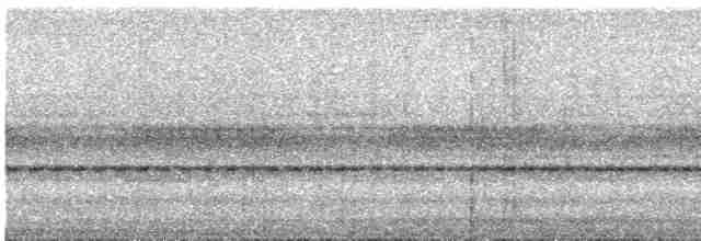 Сипуха темно-бура (підвид multipunctata) - ML611553674