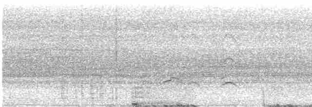 Haubenschlangenadler (sipora) - ML611554301