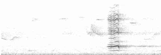 Boynuzlu Keşişkuşu (gordoni/ammitophilus) - ML611558288