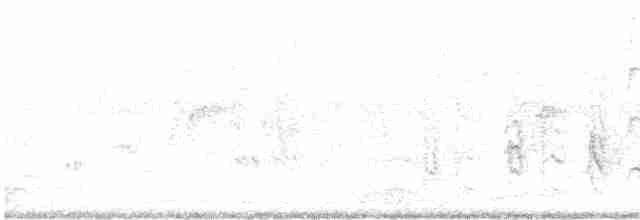 rosela černohlavá - ML611559766