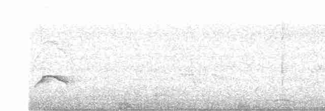 Бледногорлый миарх - ML611560233