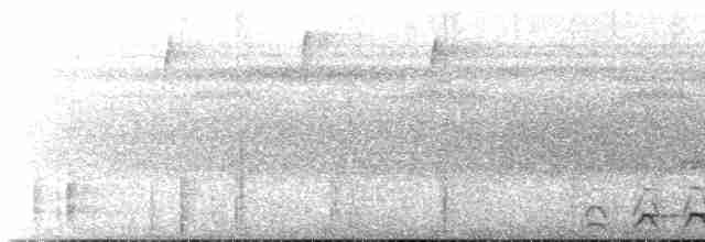 Lattice-tailed Trogon - ML611562444