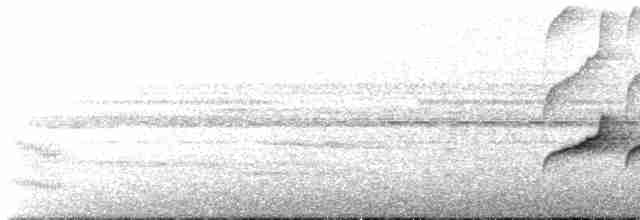 Weißkehl-Ameisenvogel - ML611562774