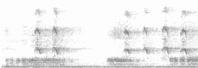 Great Egret (modesta) - ML611565911