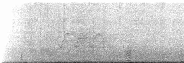 Spotless Crake - ML611569815