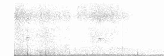 Uroilanda handia - ML611570635