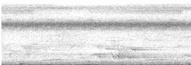 skjeggerygone (palpebrosa gr.) - ML611570917