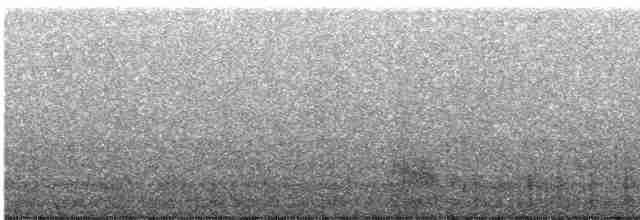 Common Merganser - ML611572301