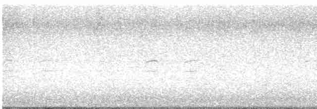 křivka bělokřídlá - ML611573904