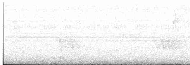 holub šedočelý - ML611573915