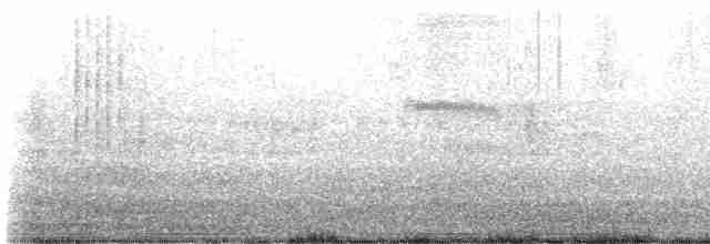 Loggerhead Shrike - ML611574358