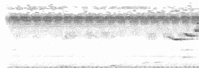 Kara Taçlı Gözlükçü - ML611574751