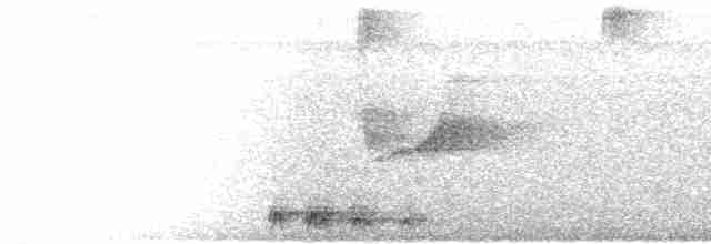 Black-tailed Trogon - ML611577038
