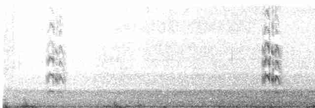 Kara Gagalı Sumru - ML611585728