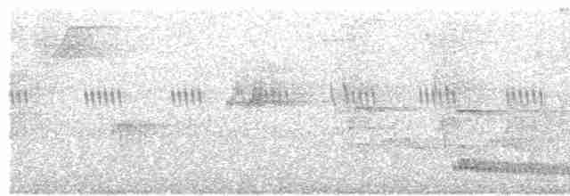 Atlantik Kara Gerdanlı Trogonu - ML611592869