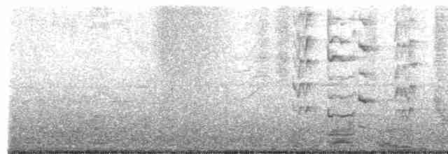 Медолюб-сережник східний - ML611592887
