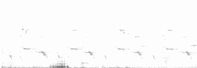 Сріблодзьоб індійський - ML611593593
