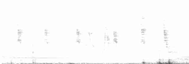Сріблодзьоб індійський - ML611593935