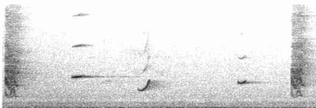 Oriole à gros bec - ML611598978