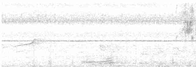 Кустарниковая кукушка (sepulcralis/everetti) - ML611608806