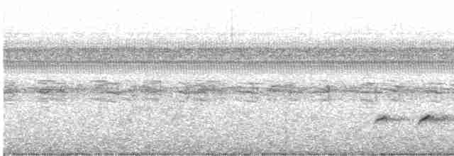 Gray-headed Kite - ML611609184