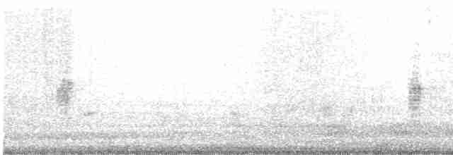 灰頭椋鳥 - ML611609360