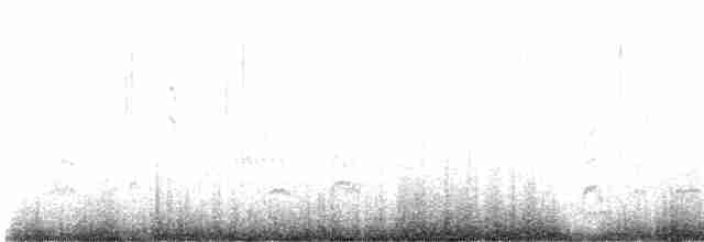 svartkronestylteløper - ML611610623