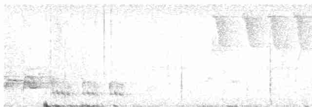 Белобровый шама - ML611611120