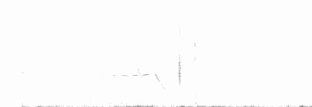 flekkdiamantfugl - ML611613388