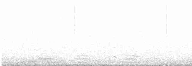 svarthalsdykker - ML611613616