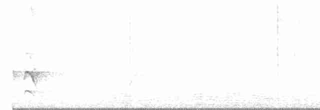 Sacred Kingfisher - ML611614650