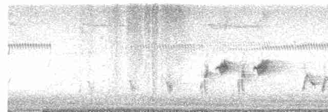 Australian Reed Warbler - ML611615071