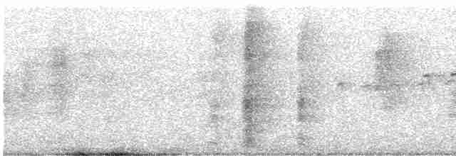 綠簑鷺(atricapilla群) - ML611615329