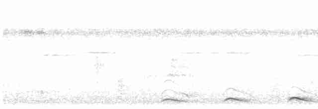 trogon bělooký - ML611619117