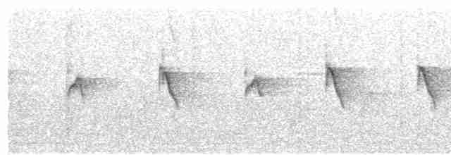 Коричневогорлая нектарница - ML611621471