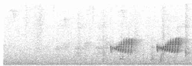 Kara Gerdanlı Terzikuşu - ML611621530