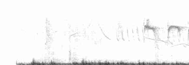 Пестрошапочная курутия - ML611621561