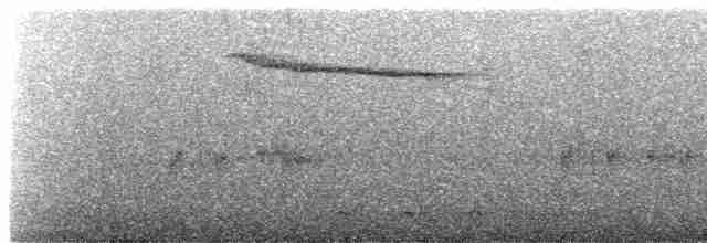 Шама мадагаскарська (підвид inexspectatus) - ML611625501