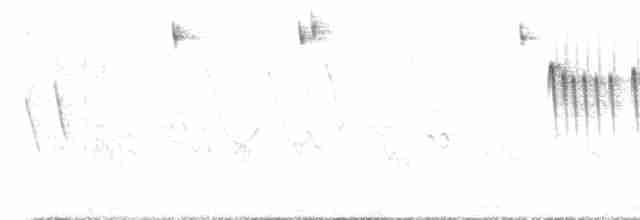 Weißscheitel-Kleintyrann - ML611627335