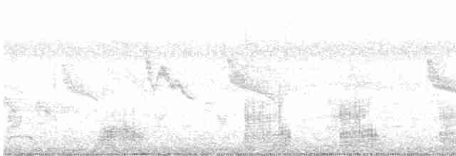 Eastern Cattle Egret - ML611639243