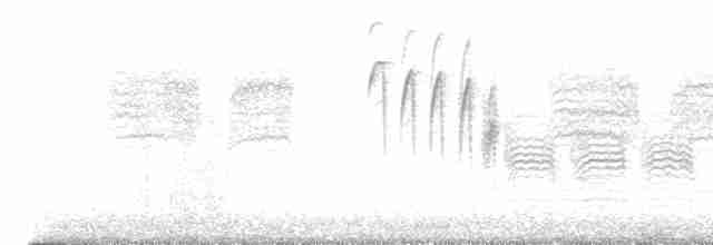 Mésange à tête brune - ML611642123