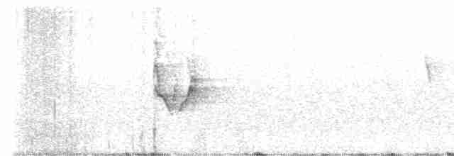 Белокрылая канделита - ML611645688