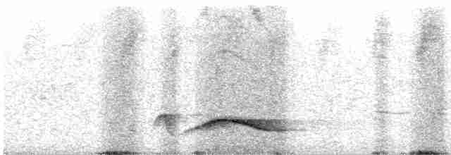 Чагарниця плямистоплеча - ML611645937