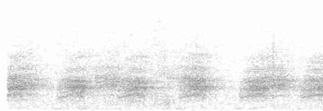 Kestane Karınlı Kılavuz - ML611650469