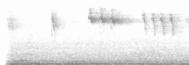 vintererle - ML611650861